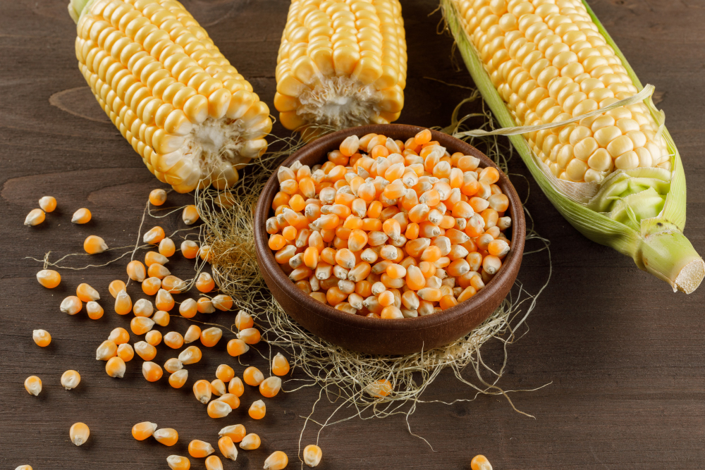 Новые сорта кукурузы: передовые технологии выращивания