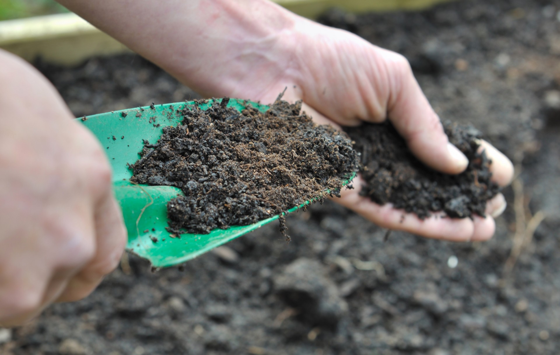 Торфяные почвы — улучшаем грунт подбираем растения